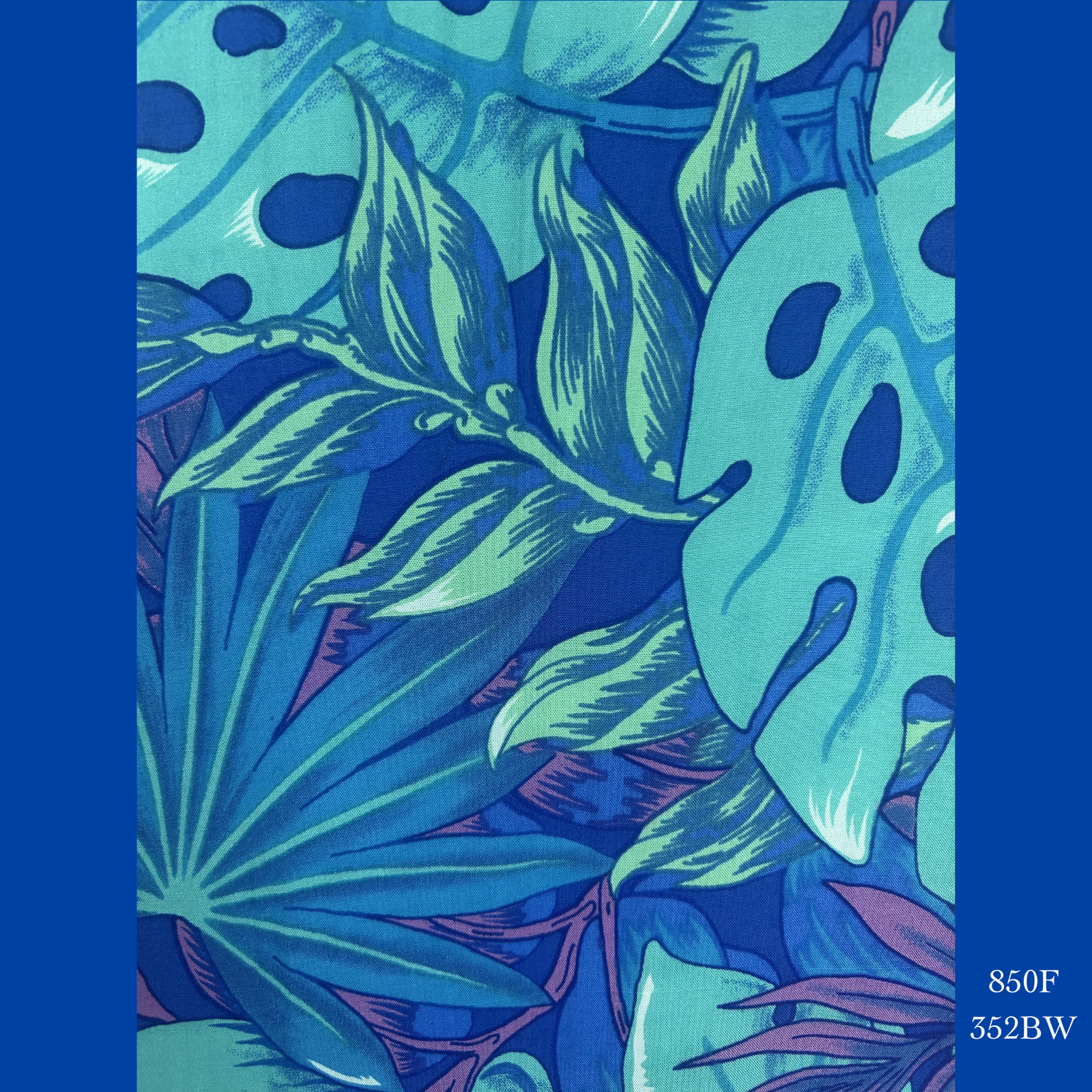 850F - 352BW , Fringed scarf